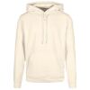 Basic hoodie Thumbnail